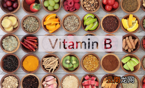 维生素B2的主要功效是什么？