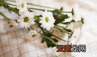 520适合送姐妹什么花束，520适合送姐妹什么花束图片