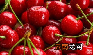樱桃冬天保存方法 大樱桃怎样保存到冬天