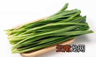 盆栽韭菜冬天怎么浇水 盆栽韭菜冬天怎么浇水最好