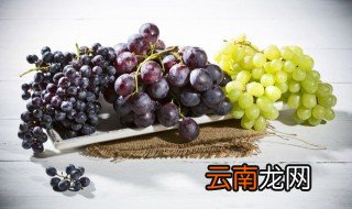 冬天的葡萄怎么浇水好 冬天的葡萄怎么浇水
