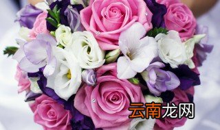 前任过生日送什么花 前任生日适合送什么花束