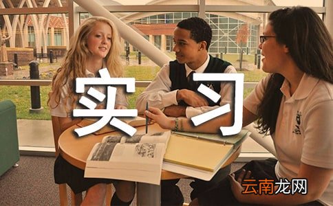 实习工作总结