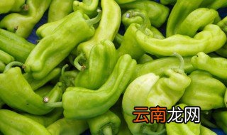 冬天怎么种植青椒 冬天怎么种植青椒苗