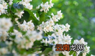 盆栽花冬天怎么暖和，盆栽花冬天怎么暖和一点