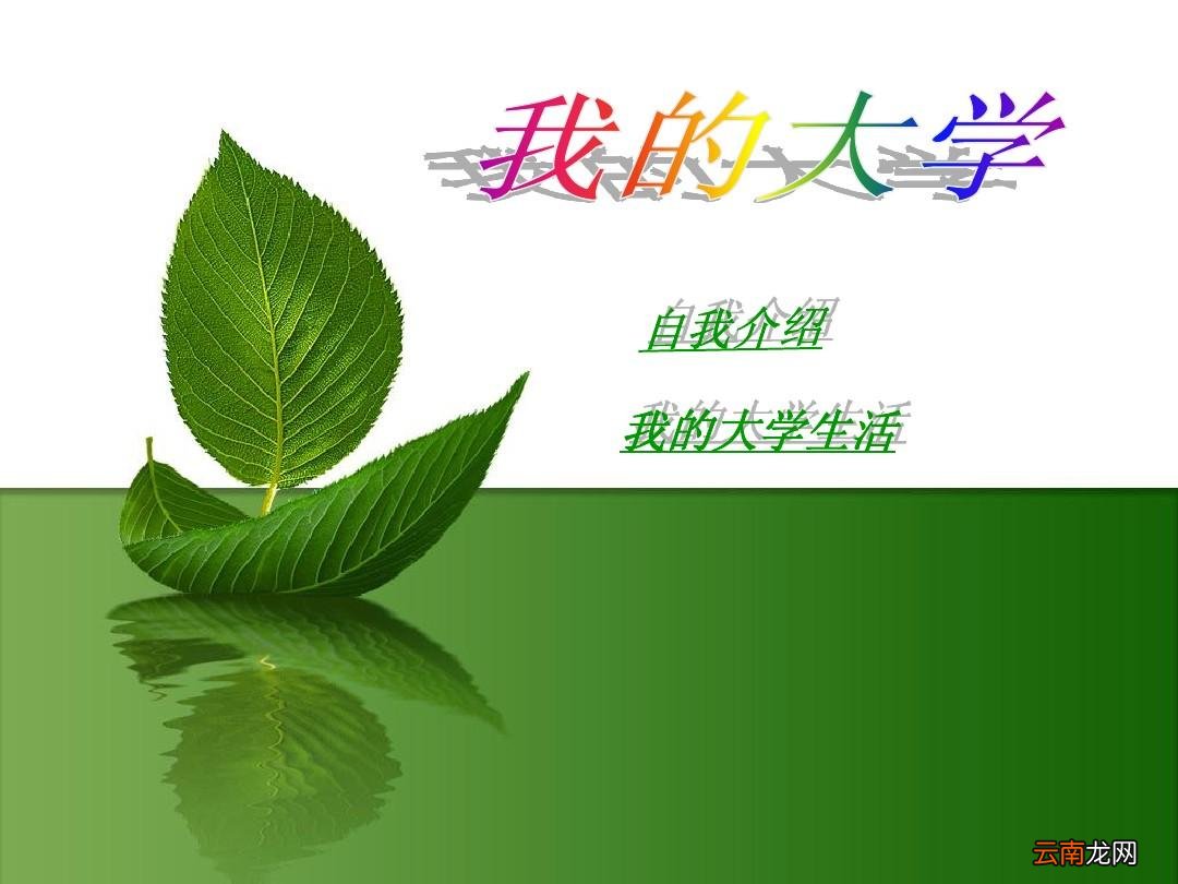大学自我介绍包括什么