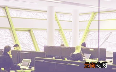 大学顶岗实习工作总结