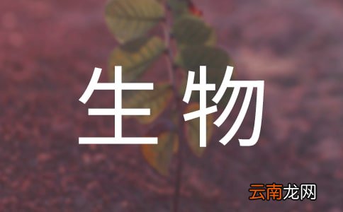 大学生物流工作实习总结