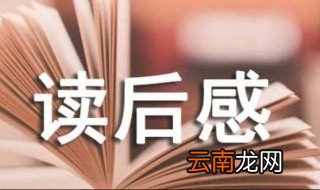 大闹天宫读后感 这样写不会错
