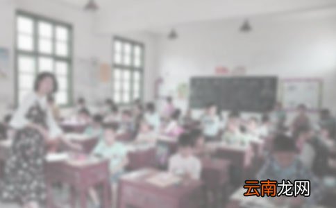 顶岗支教实习总结