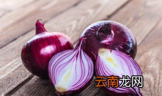 洋葱怎样浇水 洋葱冬天怎么浇水