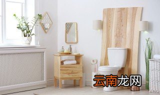 卫生间都装什么实用的摆件 卫生间摆什么物件好看