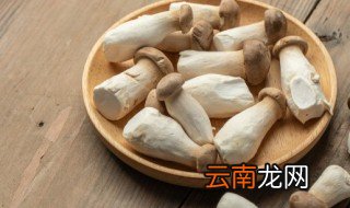 杏鲍菇什么样子是变质了 杏鲍菇怎么判断变质