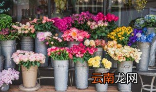生日时适合送什么花束 适合生日送的花束