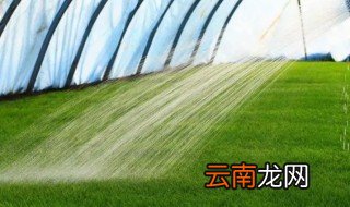 冬天棚室内怎么浇水 冬天棚室内怎么浇水好