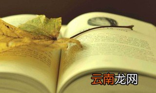 格列夫游记读后感 格列夫游记读后感范文