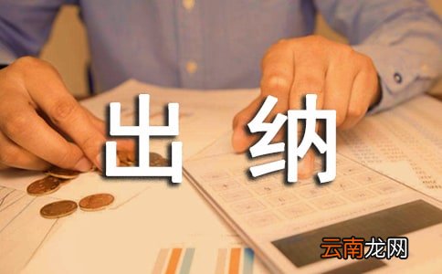 事业单位出纳年度工作总结