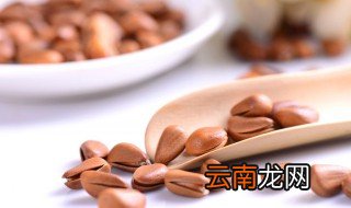 松子怎么储存 松子的储存方式
