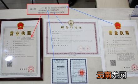 三证合一是哪三证