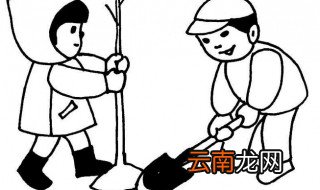 使用铁锹挖树坑的正确方法 如何使用铁锹挖树坑