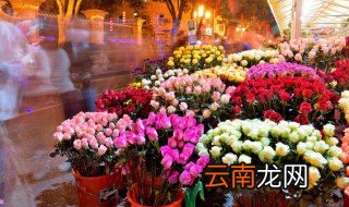 女士退休适合送什么花束，女士退休适合送什么花束呢