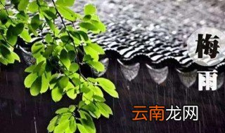2021年的梅雨季节是什么时间 关于梅雨季节时间介绍