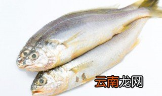冰柜里鱼类保鲜最长的办法 鱼放在冰柜里保鲜多久