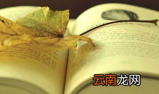 体现选择重要性的名言 体现选择重要性的名言列述