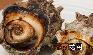 海螺的保鲜办法 海螺的保鲜办法有哪些