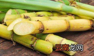 冬天种植甘蔗怎么保暖 甘蔗怎么保存过冬