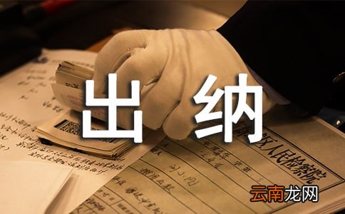 公司出纳个人年度工作总结
