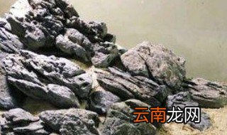 青龙石摆放技巧 青龙石摆放技巧是什么