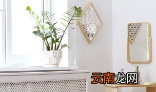 卫生间装饰品小物件叫什么名称 卫生间装饰品小物件叫什么