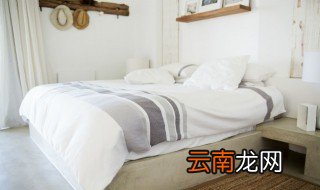床头向东放什么植物最好 床头向东放什么植物最好风水