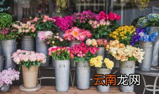 送朋友适合买什么花束，送朋友适合买什么花束图片