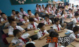 暑假趣事作文 有关暑假趣事作文范文
