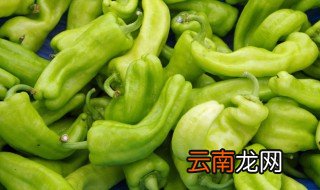 河南冬天怎么种植尖椒 尖椒的种植