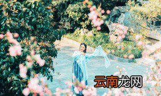 好听网名女生唯美清纯两字 唯美网名女生清新两字