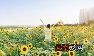 好听清新的女生网名 气质清新的女生网名