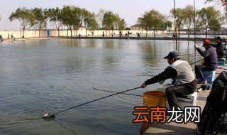 钓青鱼最快的方法 一起来了解一下