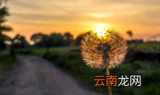 女生气质小清新网名大全 清新的女生网名简单气质
