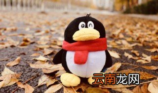 清新气质qq网名 qq网名大全简单气质简