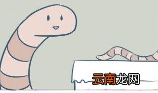 抓蚯蚓方法 如何抓蚯蚓