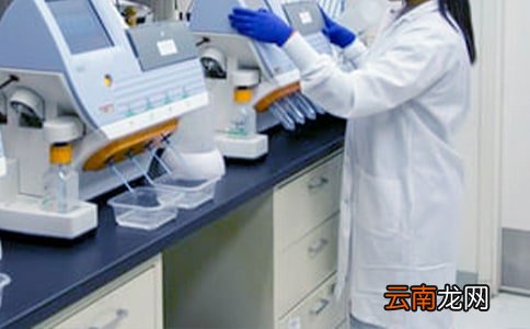 学校教研课活动总结