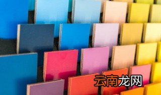 属兔本命年适合什么颜色的花 属兔本命年适合什么颜色