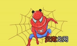 大蜘蛛进家里代表什么 是怎么解释的