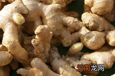 牙齿痛怎么快速止痛最简单的办法
