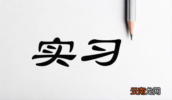【精华】实习计划集合八篇