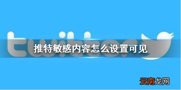 推特敏感内容怎么设置可见 推特敏感内容怎么解除屏蔽