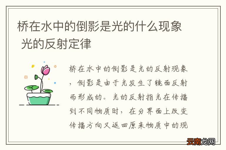 桥在水中的倒影是光的什么现象 光的反射定律